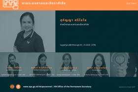 โครงสร้างบุคลากร พารามิเตอร์รูปภาพ 3