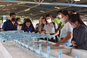 โครงการส่งเสริมวิถีพอเพียงตามรอยพระยุคลบาท ณ ศูนย์ศึกษาการพั ... พารามิเตอร์รูปภาพ 11